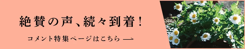 各界からのコメントはこちら